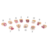 Bagues enfant fantaisie ajustables Great Pretenders cœurs arc-en-ciel licorne papillon