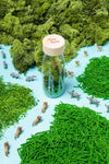 Bouteille sensorielle, Spy Bottle, Jungle, Petit Boum.