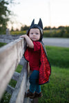 Cape réversible bébé araignée et chauve-souris 1-2 ans Great Pretenders déguisement enfant