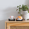 Lot de deux voitures à friction pour bébé en forme de chat et de souris – Tiger Tribe