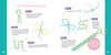 Coffret Mes scoubidous à paillettes Auzou Créatif kit créatif bracelets enfant DIY