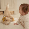 peluche d’activités lapin bébé Little Dutch Newborn