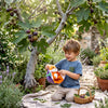 Peluche réversible Russet le renard Flipetz Les Déglingos transformable en figue violette pour enfant