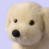 Peluche chien Jellycat chiot beige doux assis – doudou bébé compagnon câlin