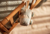 Peluche musicale bébé en forme de voiture bleue – mobile musical à suspendre avec anneau en bois, collection On The Go de Jollein