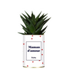 Plante grasse Maman d'amour, Styley.