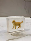 Savon transparent artisanal "Chien" par Ludi Soap. Ce savon ludique contient une figurine de chien miniature à l’intérieur, rendant l’heure du bain amusante pour les enfants. Fabriqué à partir d’ingrédients doux, il convient aux peaux sensibles. Idéal comme idée cadeau originale pour les amoureux des animaux.