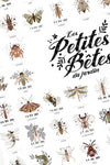 Affiche "Les petites bêtes du jardin" - Les petites dates